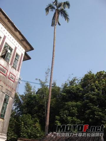 调整大小 DSCF6848.jpg