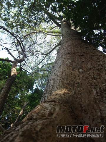 调整大小 DSCF6853.jpg