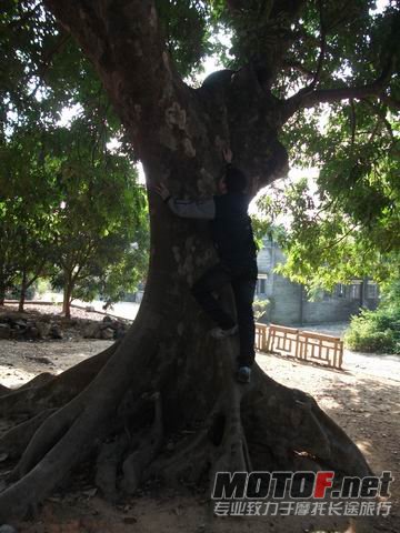 调整大小 DSCF6855.jpg