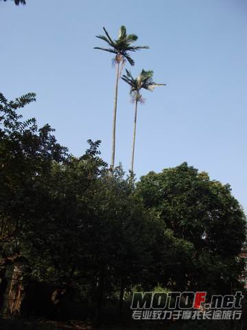 调整大小 DSCF6860.jpg