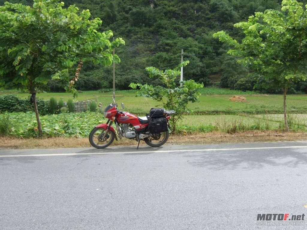 DSCF2728.jpg