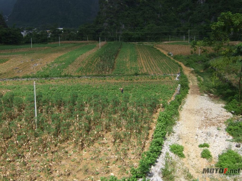 DSCF2746.jpg