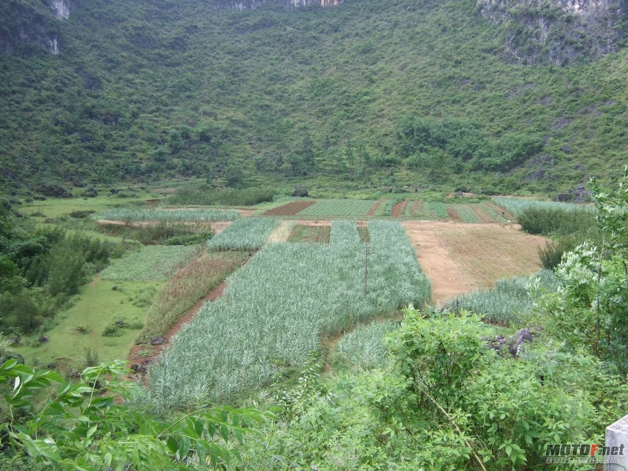 DSCF2769.jpg