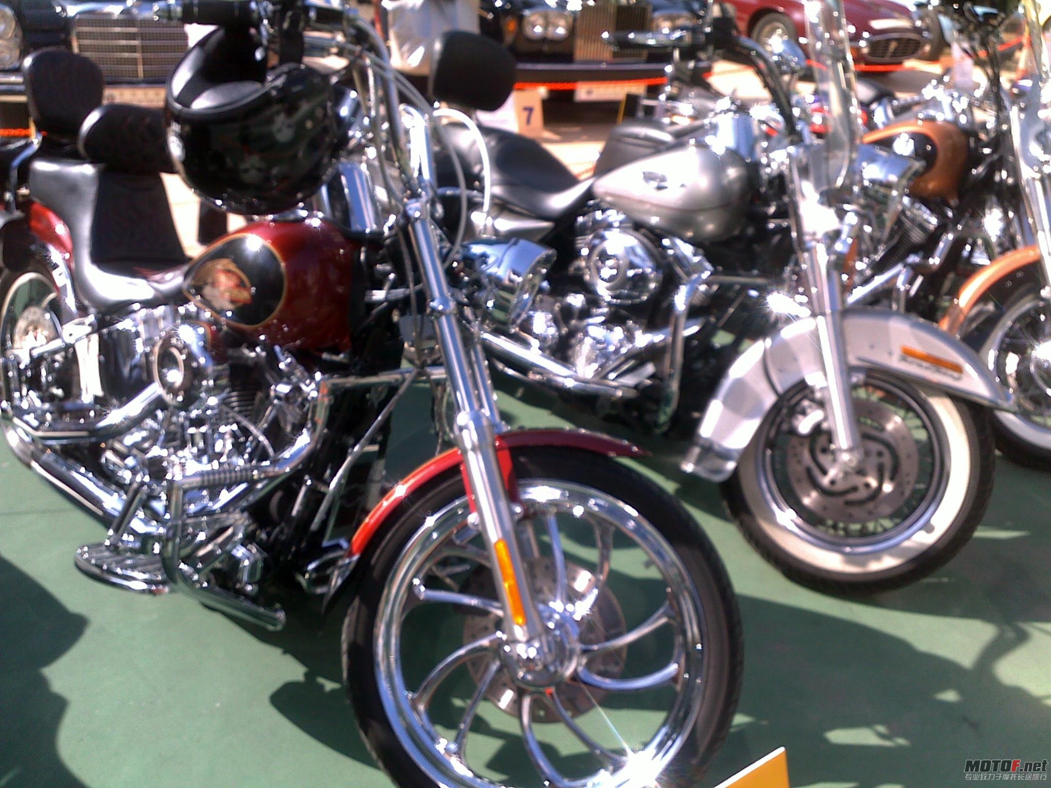 20101205339.jpg