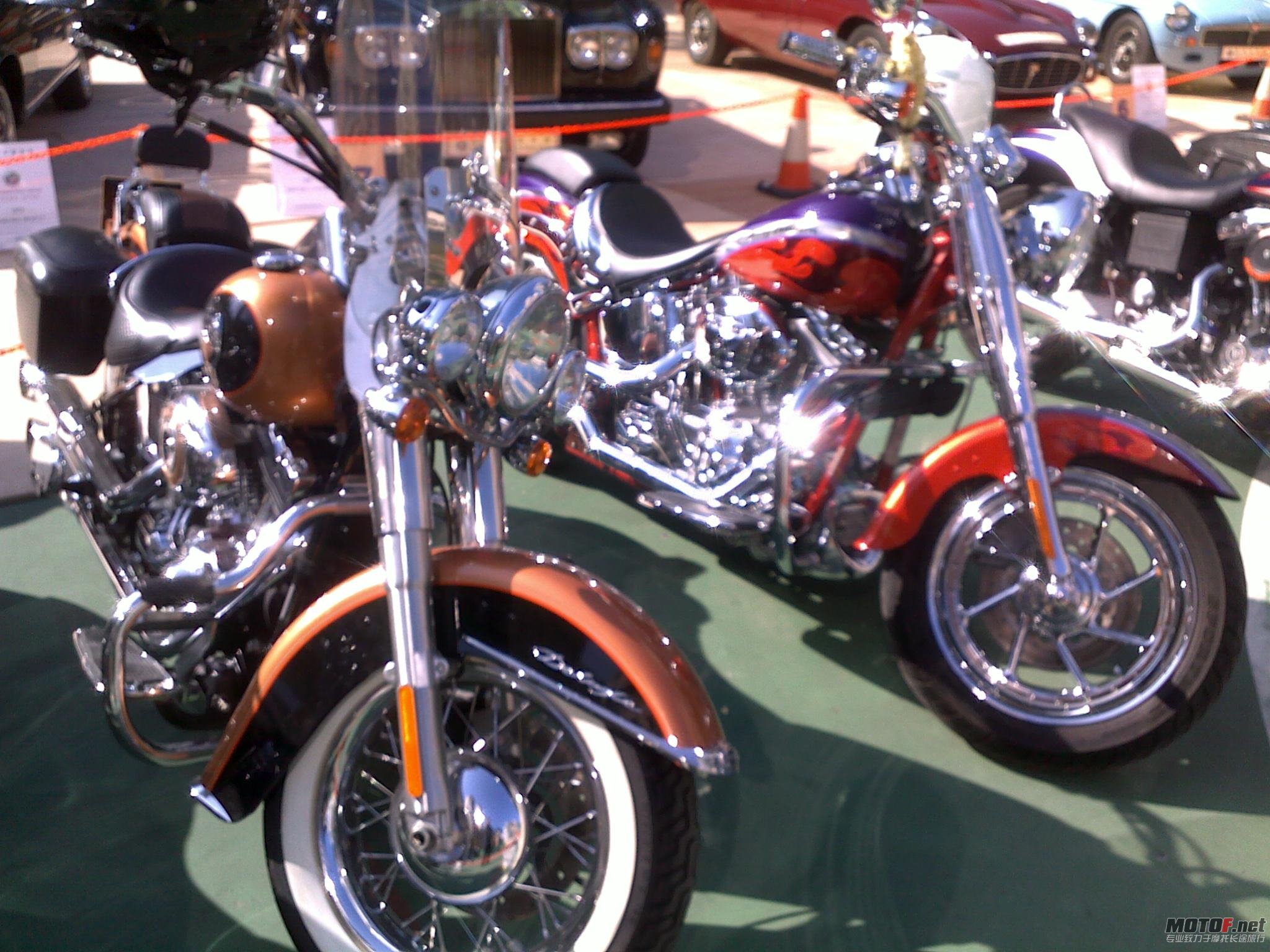 20101205340.jpg