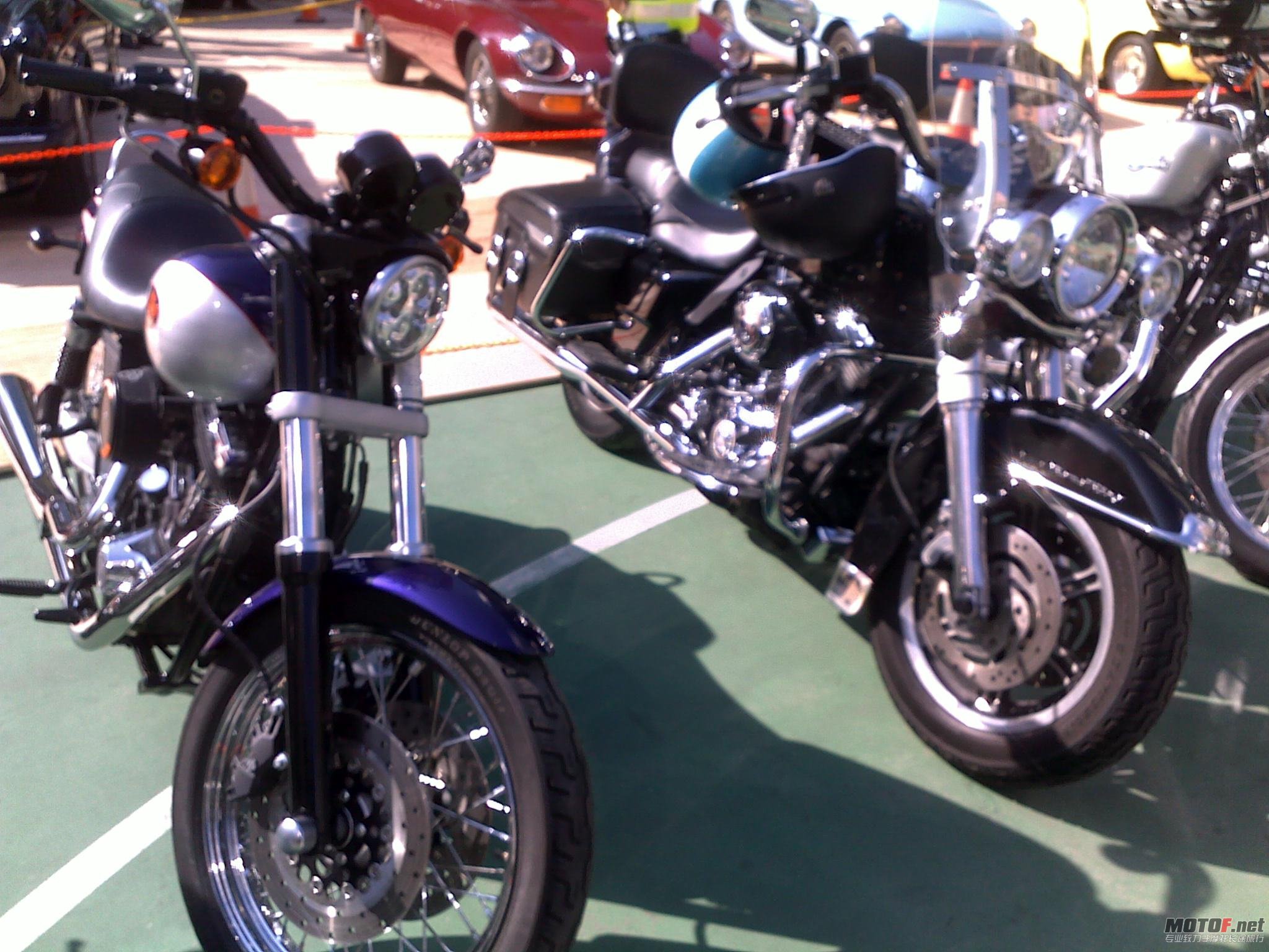 20101205341.jpg