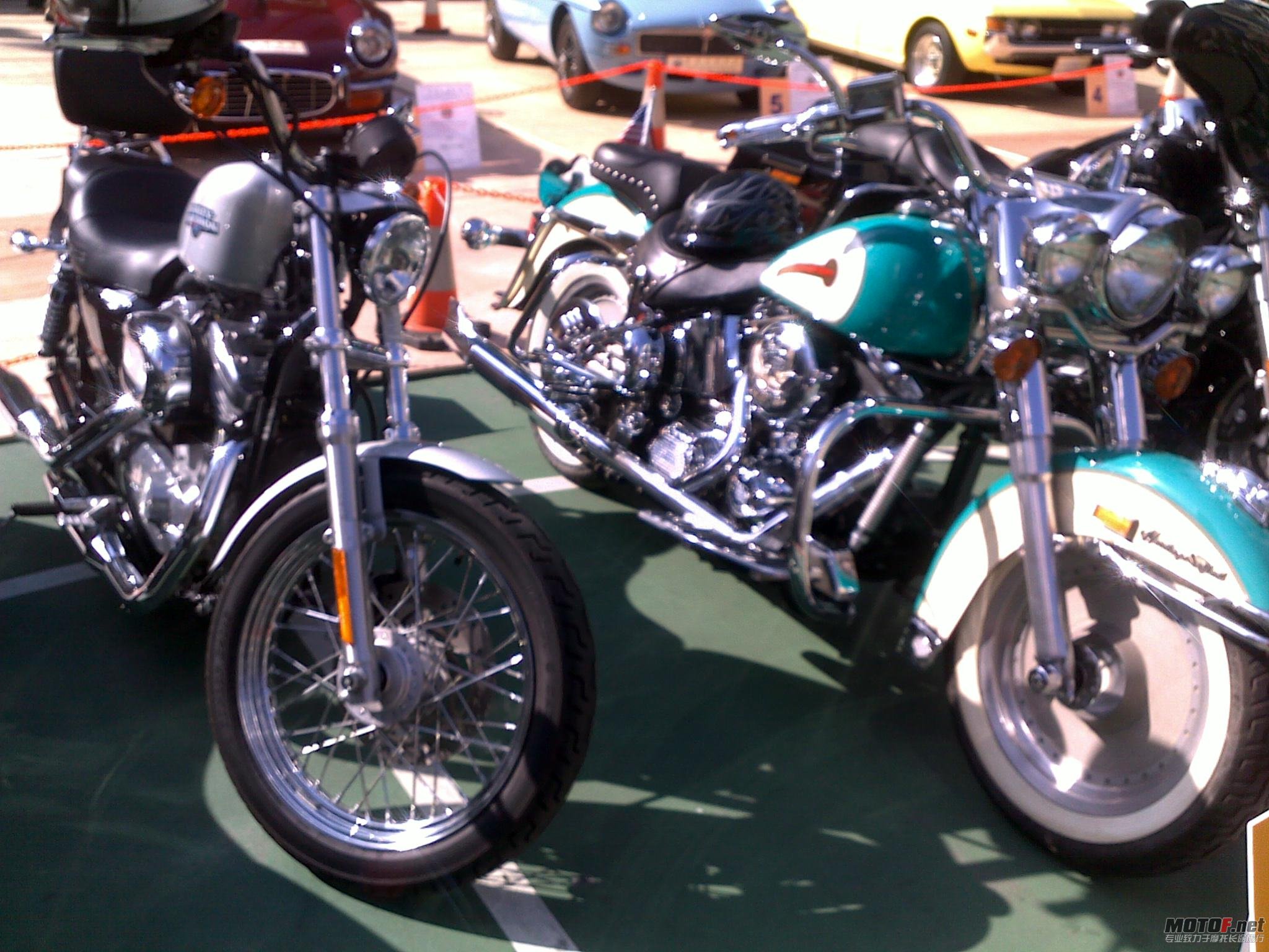 20101205342.jpg