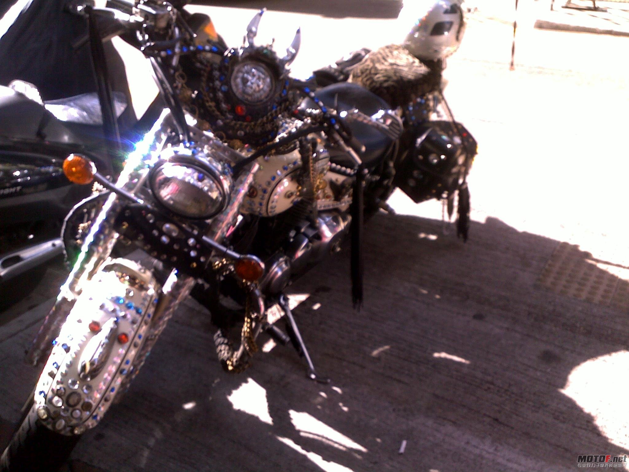 20101205372.jpg