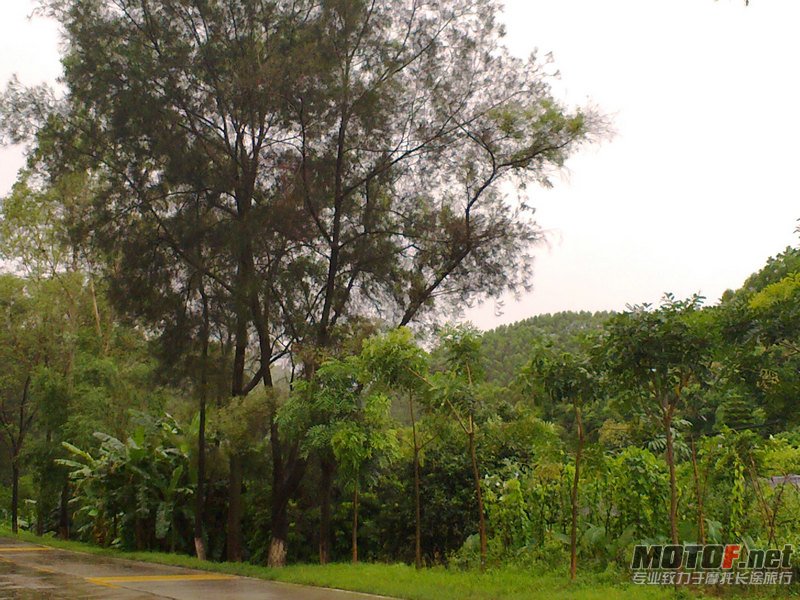 20100728158_1.jpg