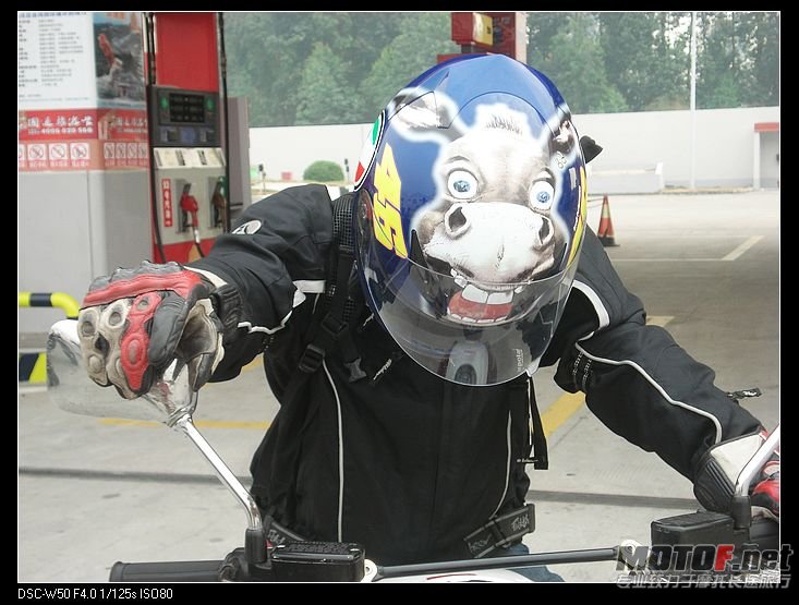 nEO_IMG_DSC01554.jpg