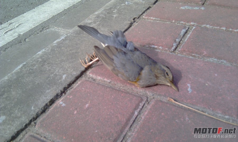 IMAG0862.jpg