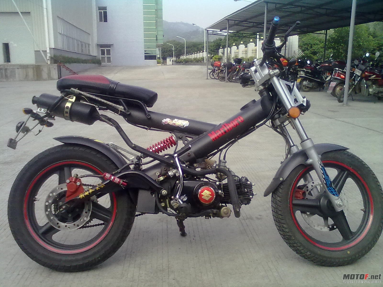 20101020003.jpg
