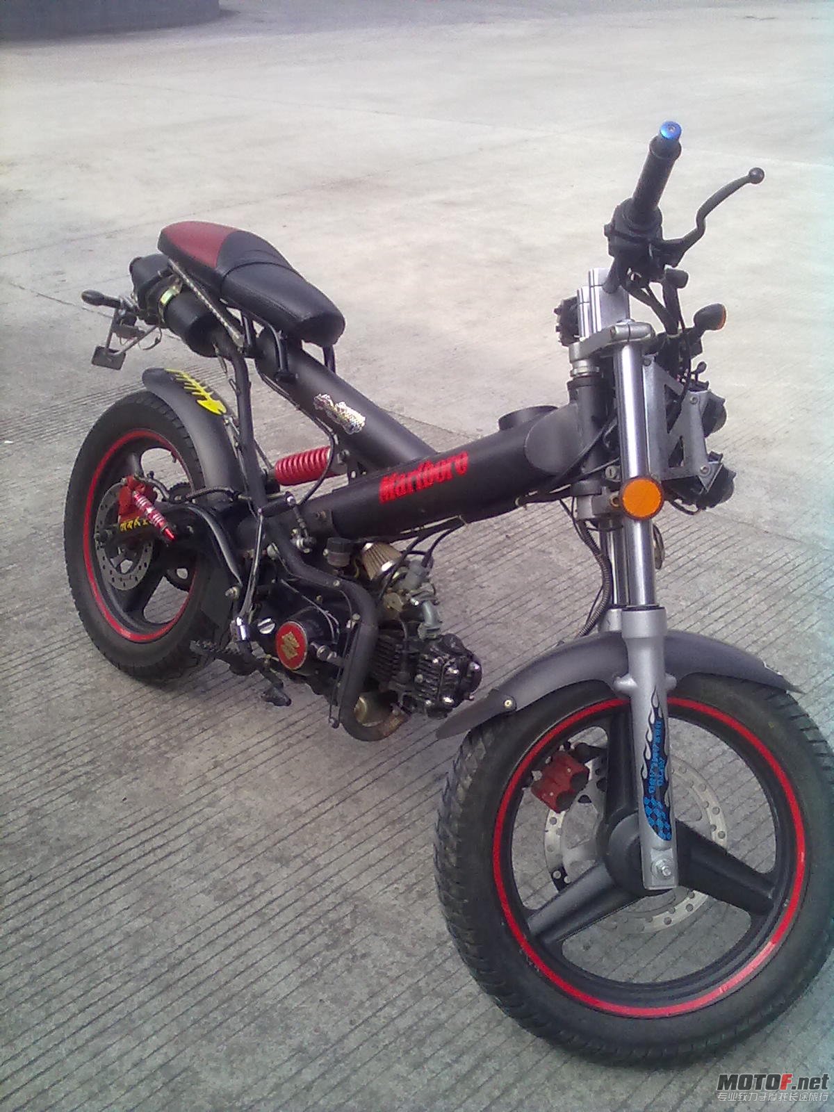 20101020010.jpg