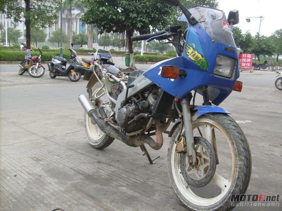 BigBull_S7309352.JPG