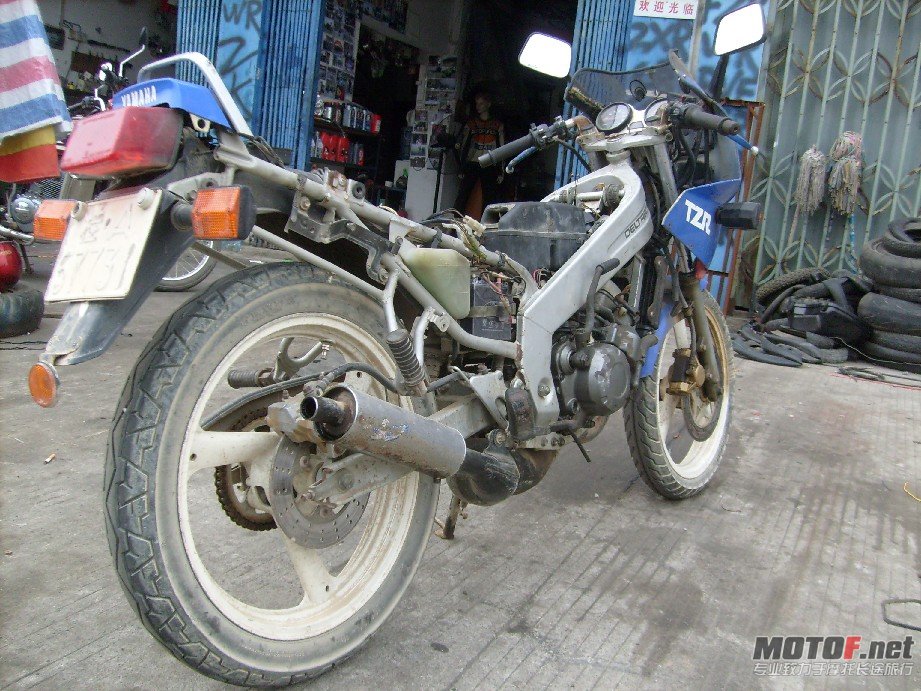 BigBull_S7309353.JPG