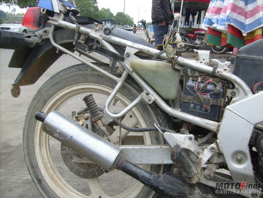 BigBull_S7309361.JPG
