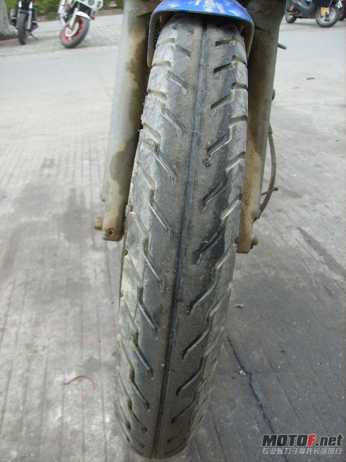 BigBull_S7309362.JPG