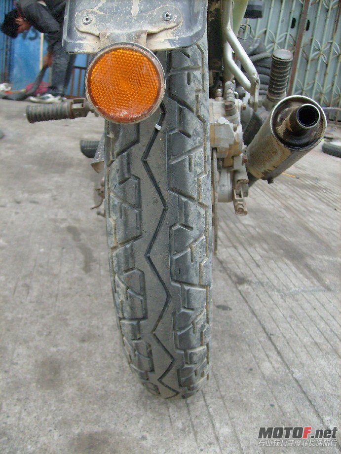 BigBull_S7309363.JPG