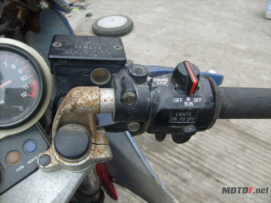 BigBull_S7309369.JPG