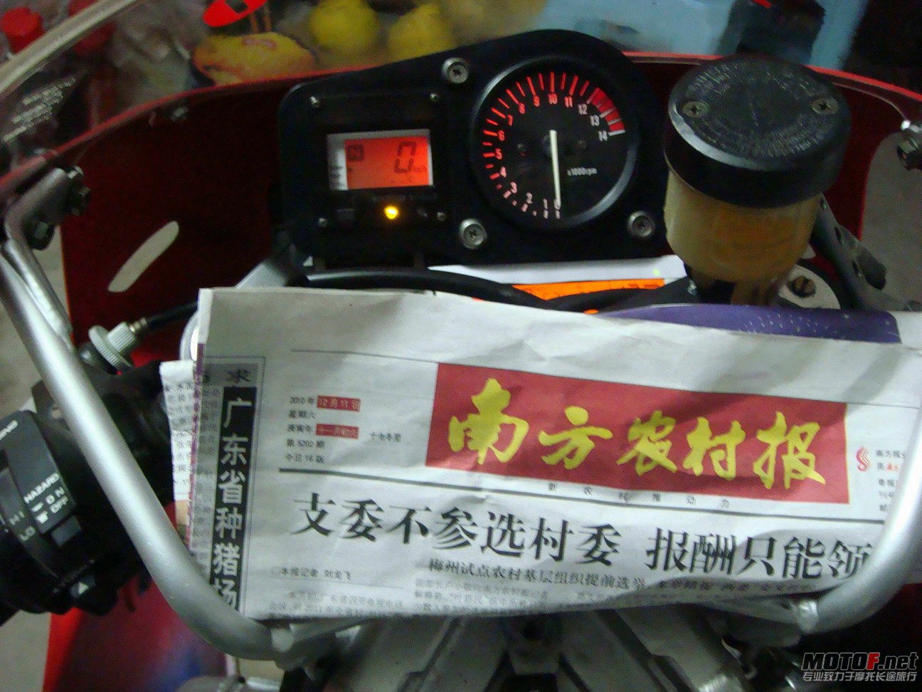 DSC01894.jpg