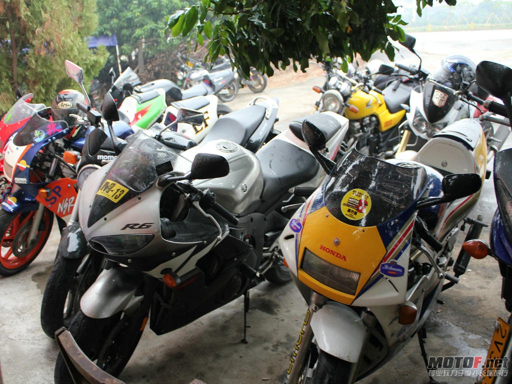 IMG_5263.jpg