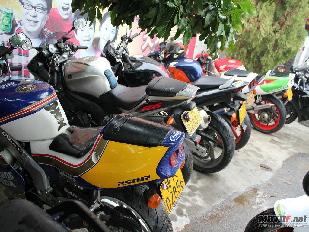 IMG_5269.jpg
