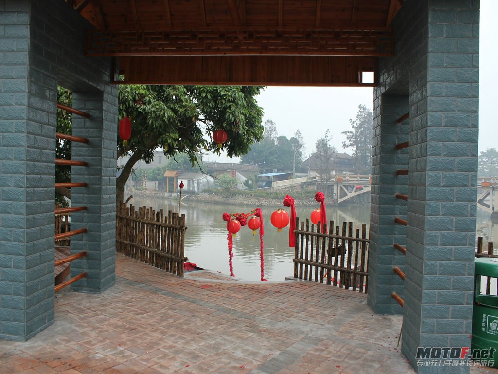 IMG_5284.jpg