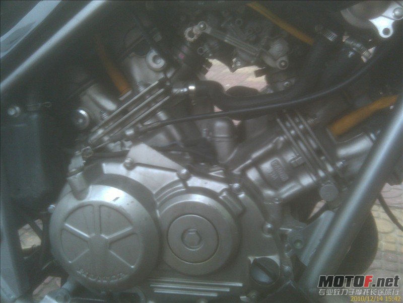IMAG0144.jpg