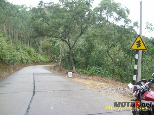 SL701690.JPG