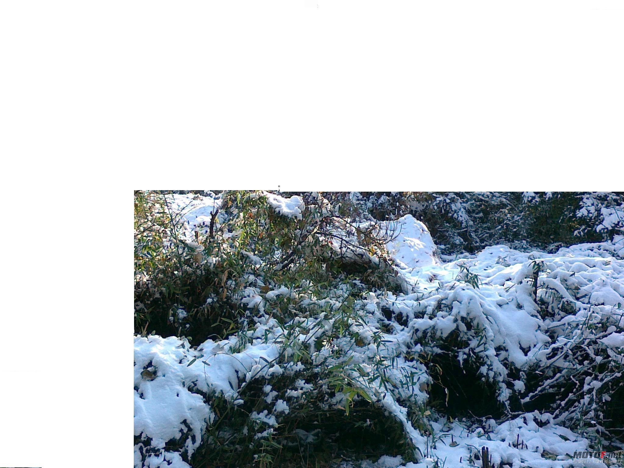 20101217031.jpg