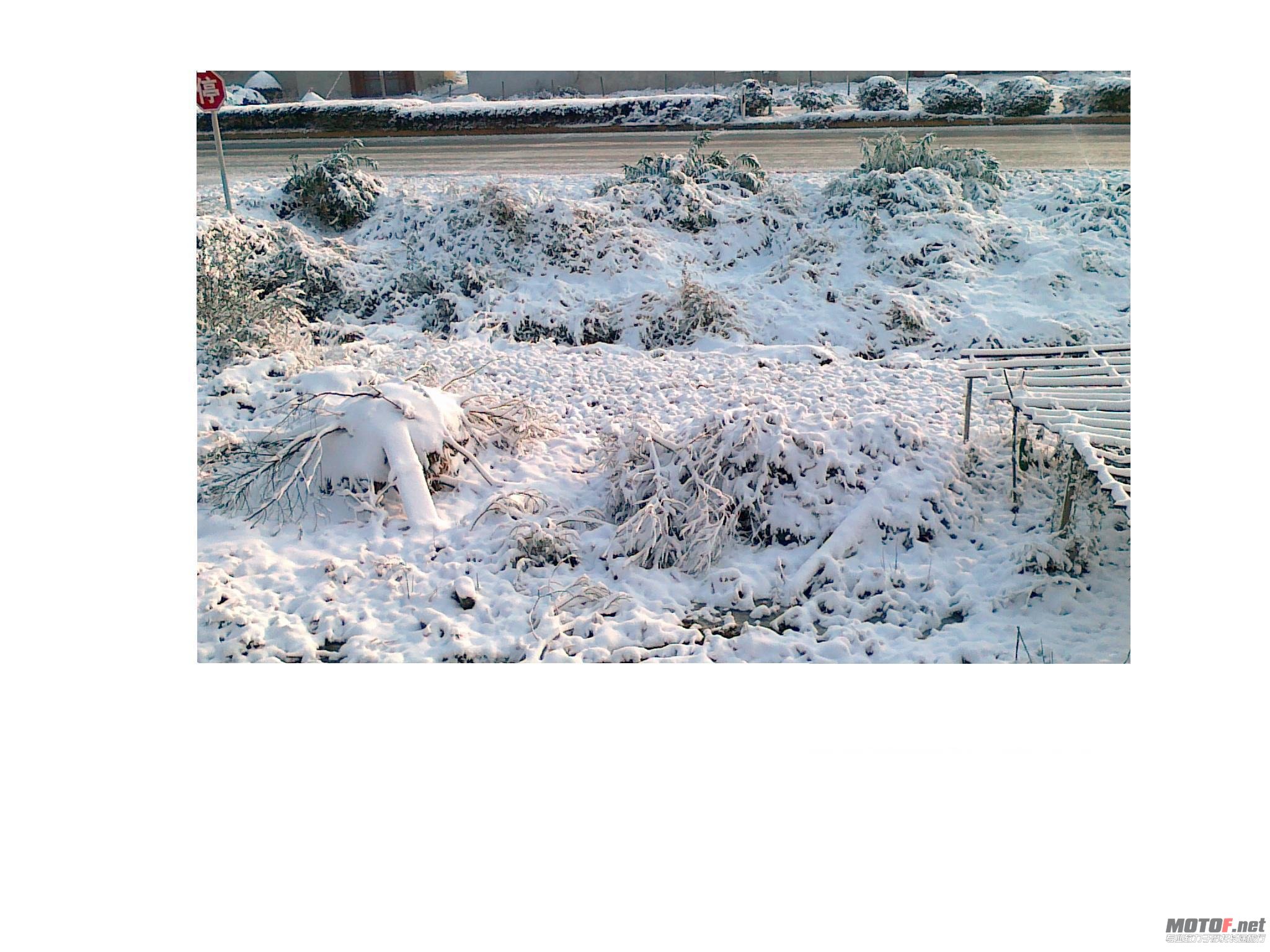 20101216022.jpg