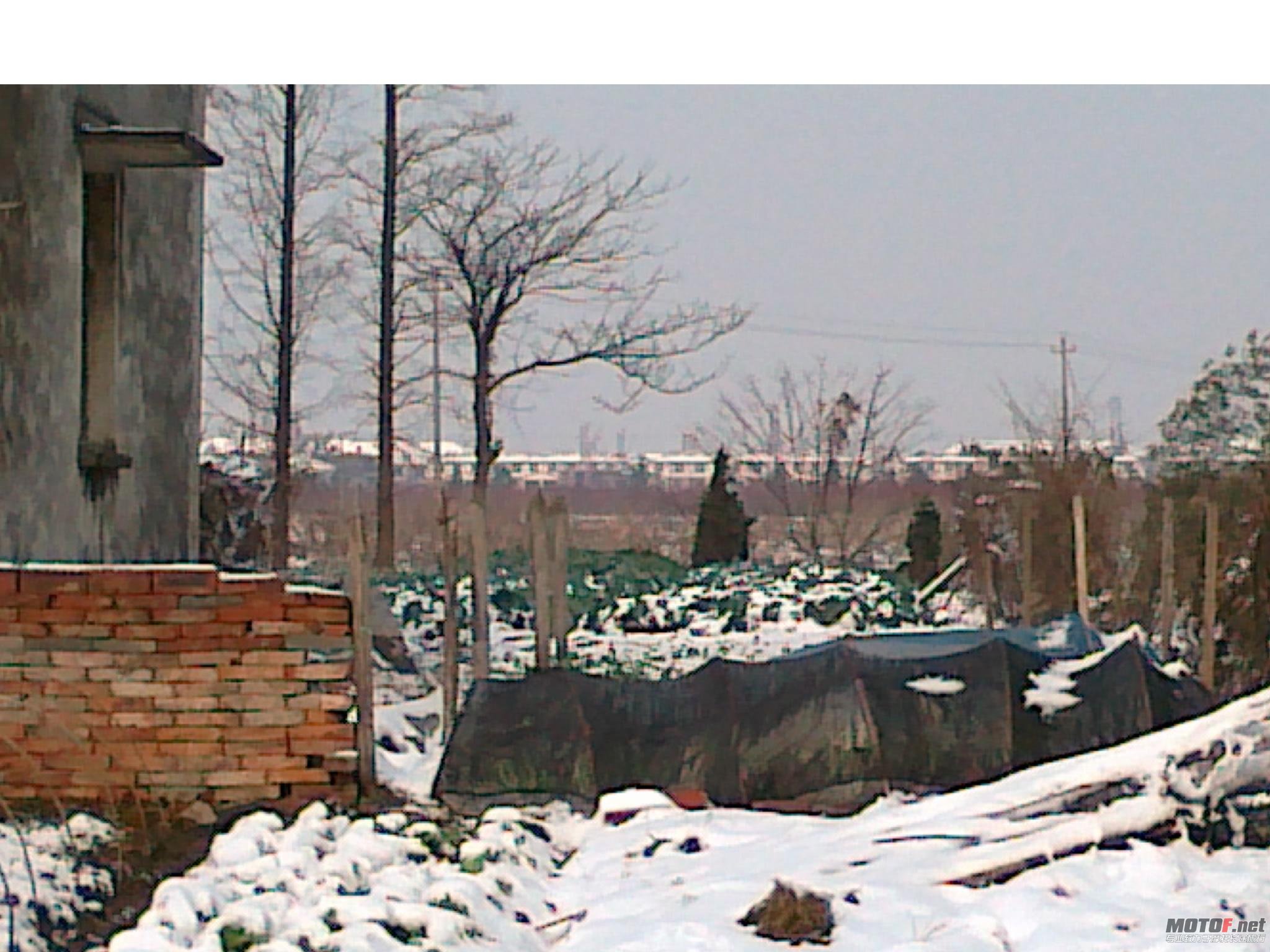 20101216023.jpg