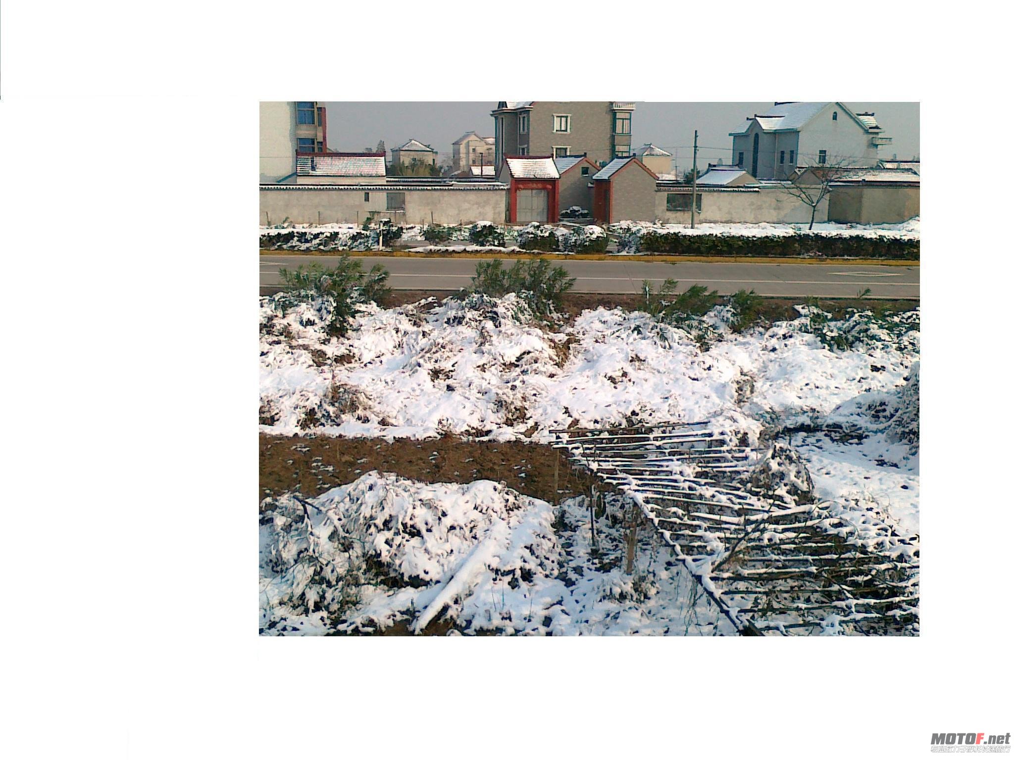 20101216024.jpg