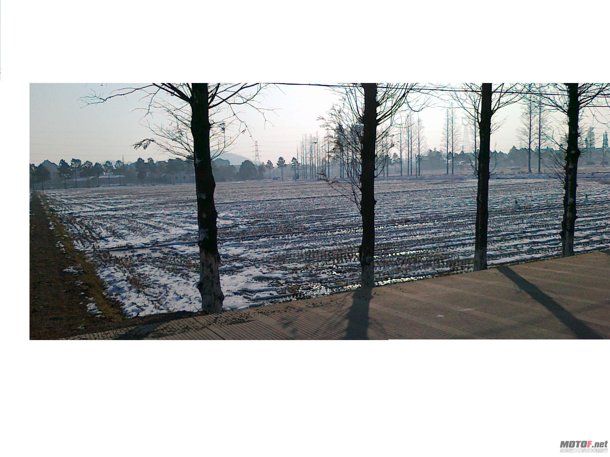 20101217028.jpg