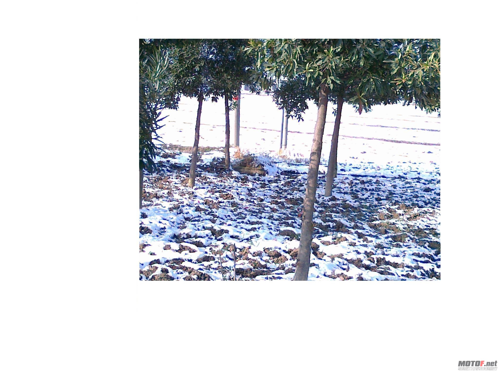 20101217029.jpg