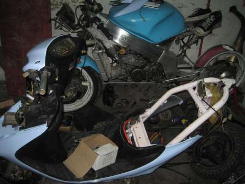 DIO NSR