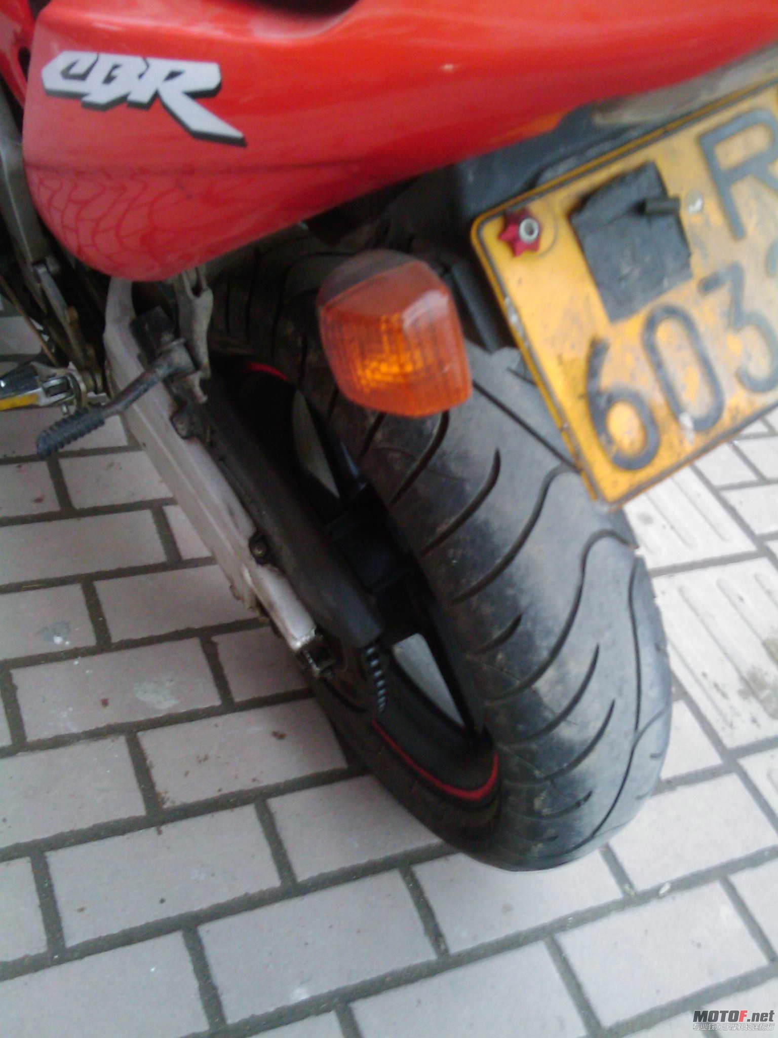 IMAG0168.jpg