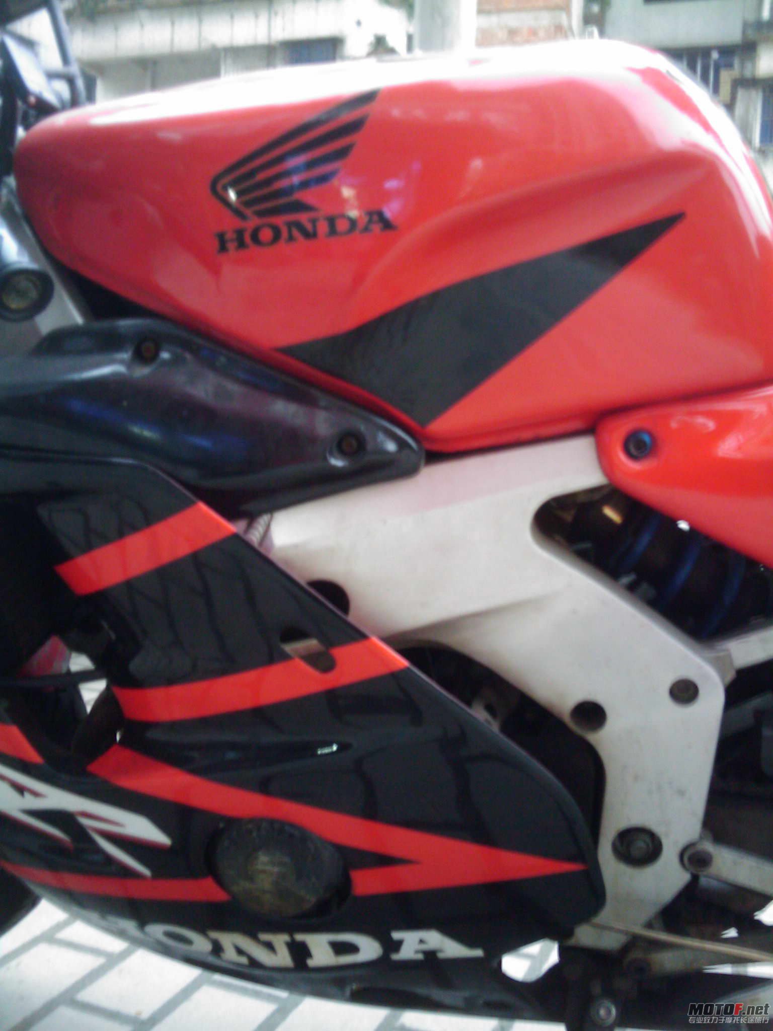 IMAG0169.jpg