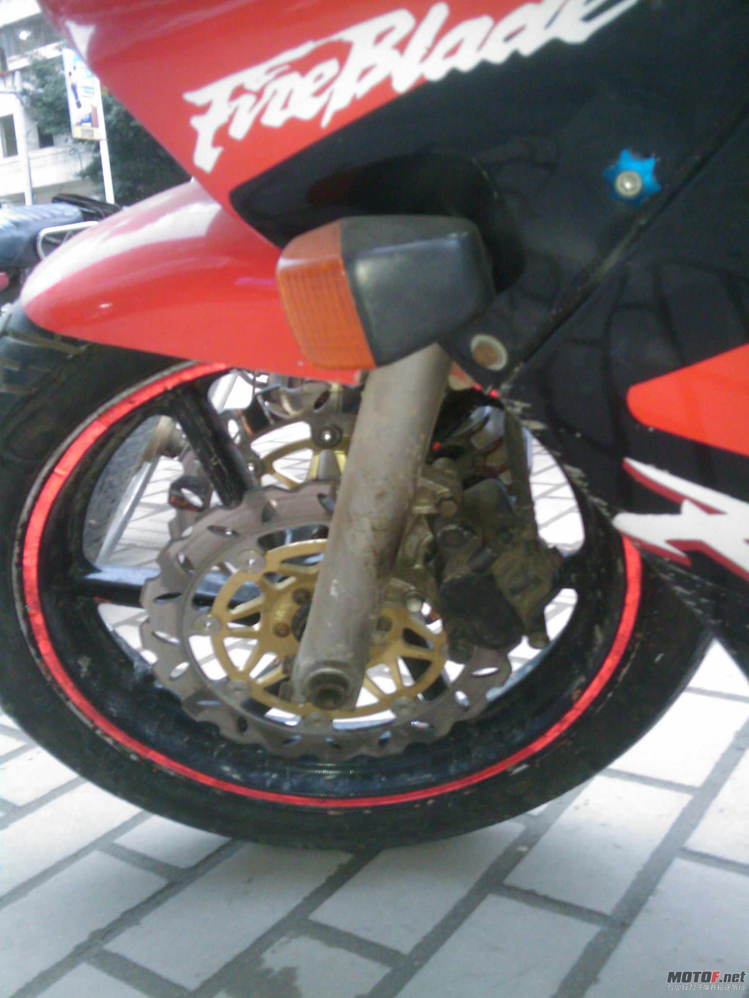IMAG0172.jpg