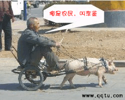 超级车手.gif