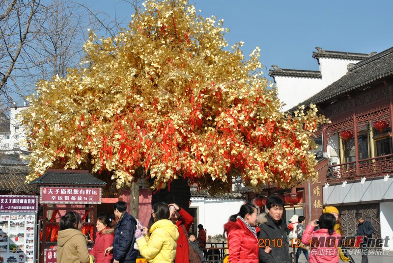 照片 092.jpg
