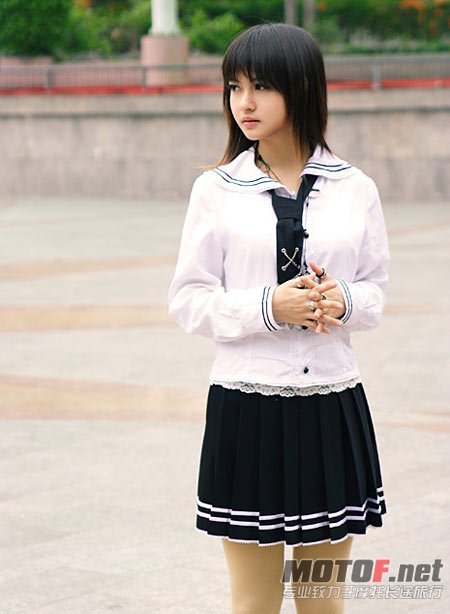 8985704.jpg