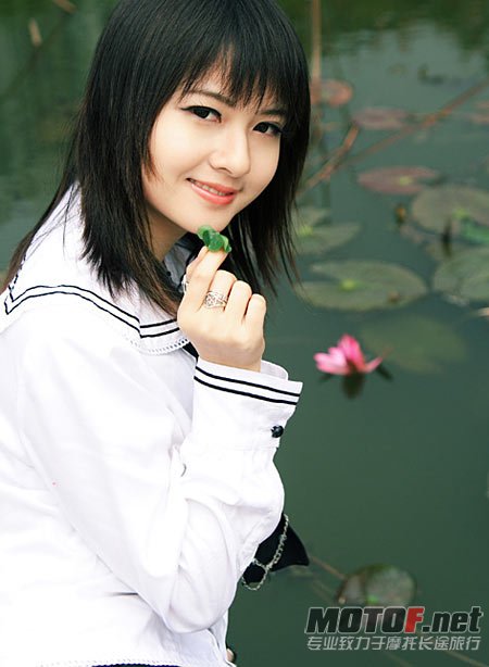 8985706.jpg