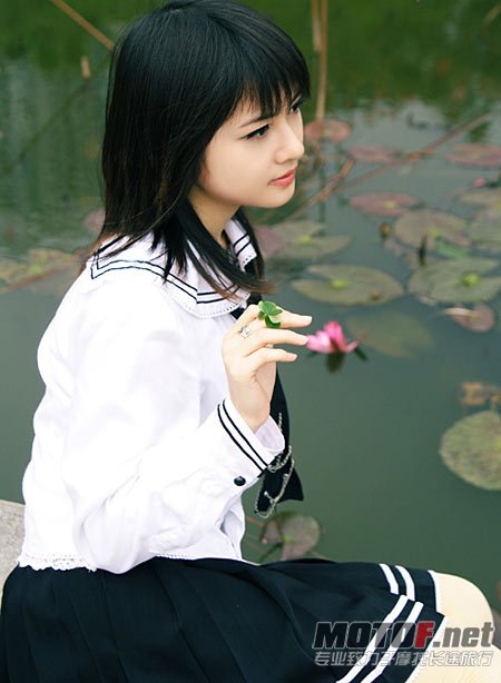 8985708.jpg
