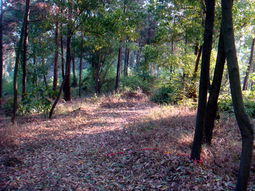 DSC04738.jpg