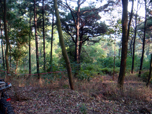 DSC04740.jpg
