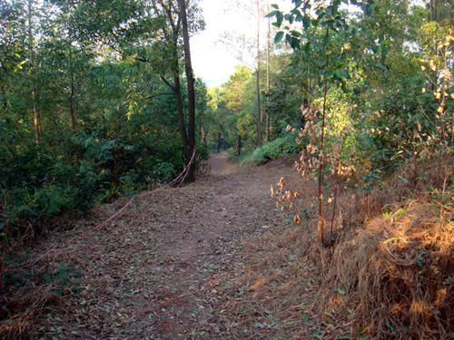 DSC04748.jpg