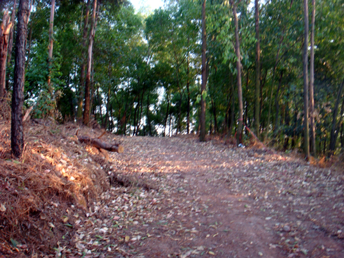 DSC04750.jpg