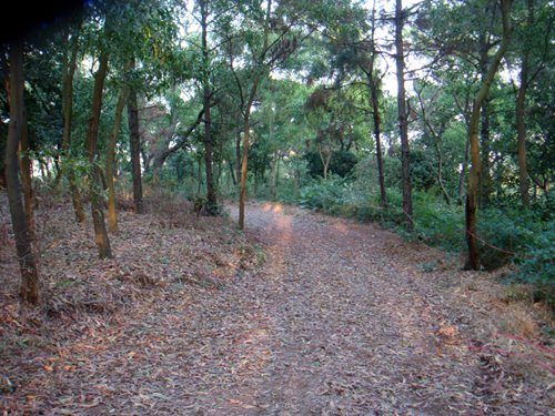 DSC04752.jpg