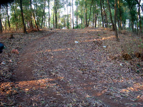 DSC04753.jpg